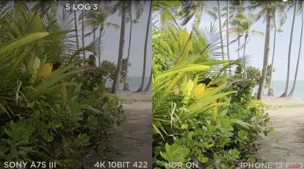 Bitrate. Sony a7s III VS iPhone 12Pro