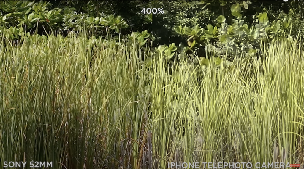 Sony a7s III VS iPhone 12Pro. Close up shot.