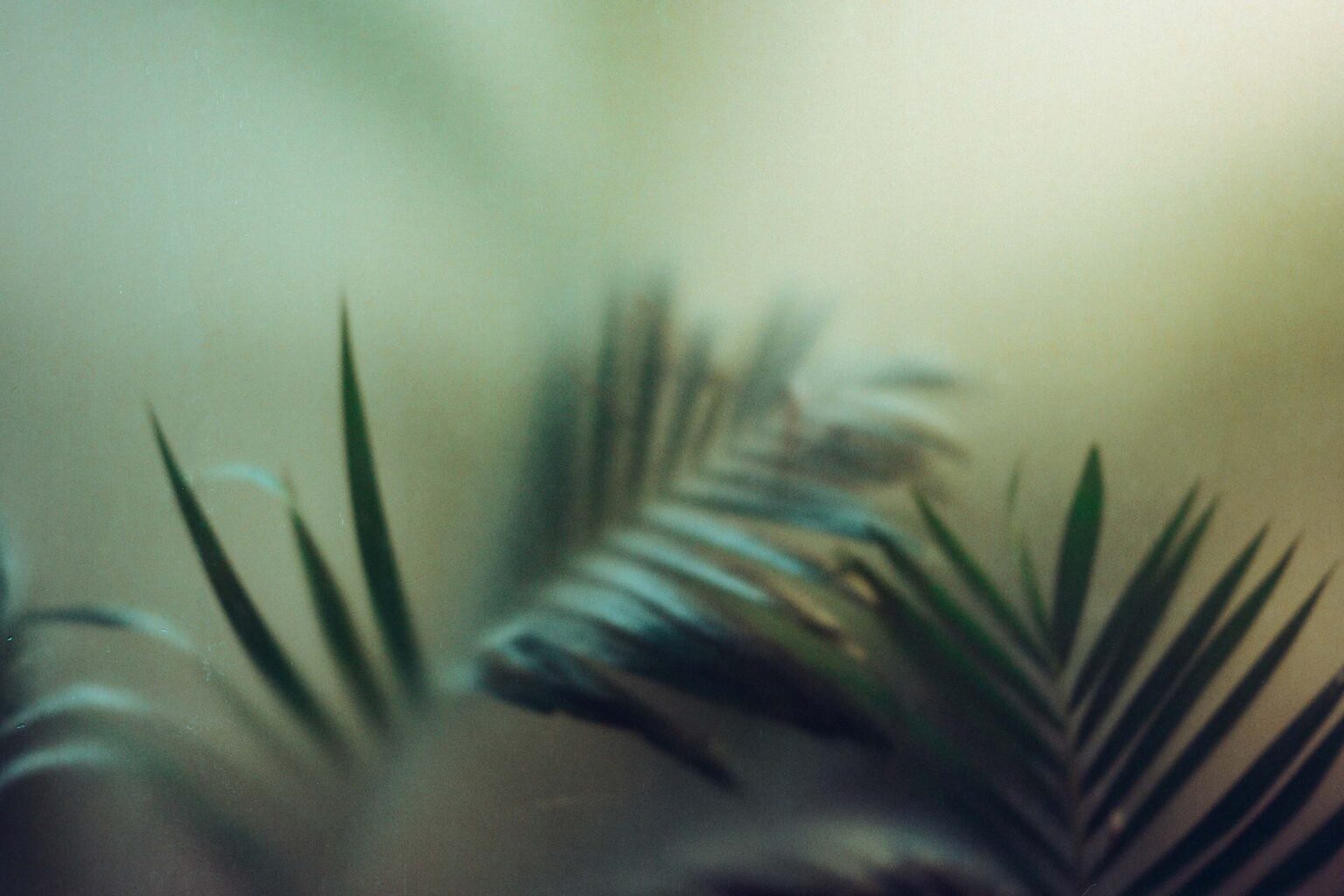 Videographer in Dallas