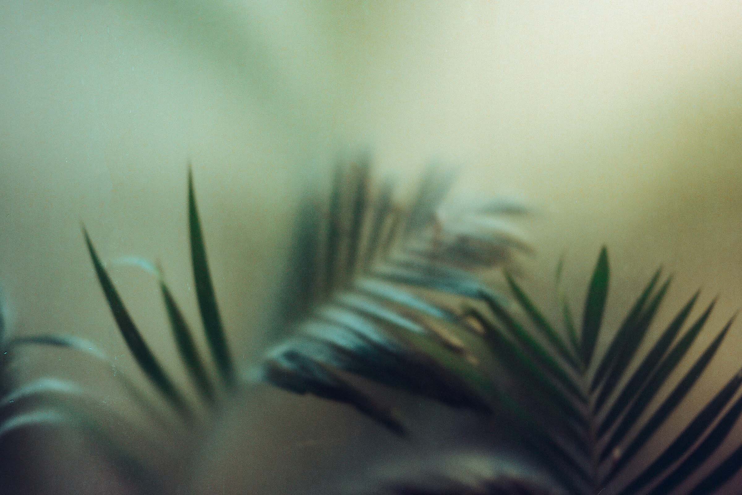 Videographer in Dallas