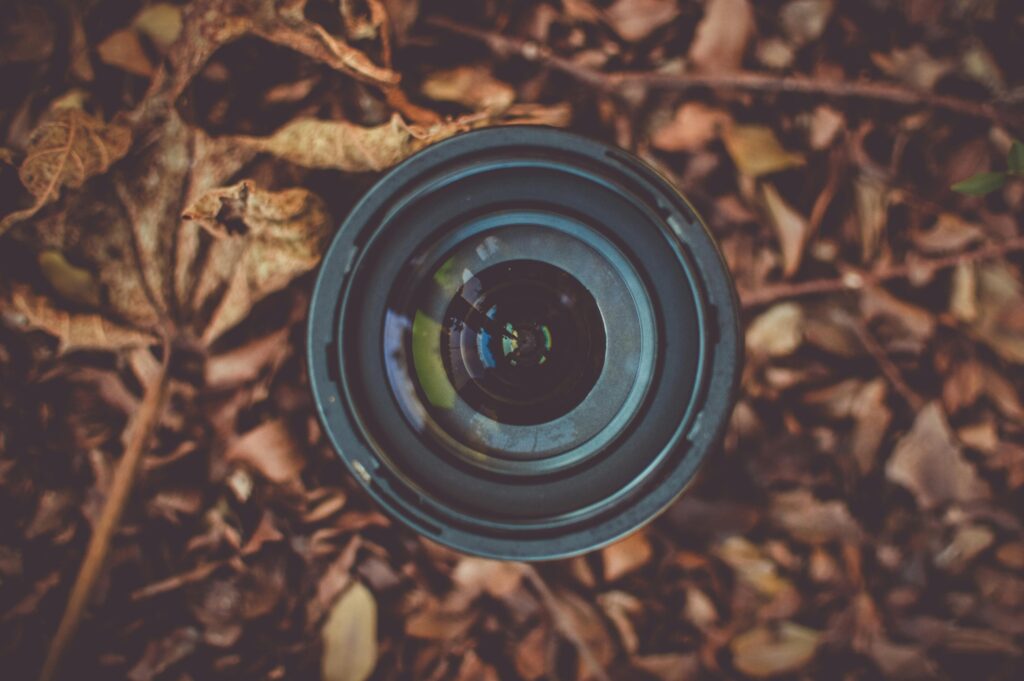 What Skills Should a Videographer Have?